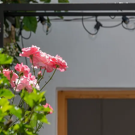 Sodium Boutique Hotel