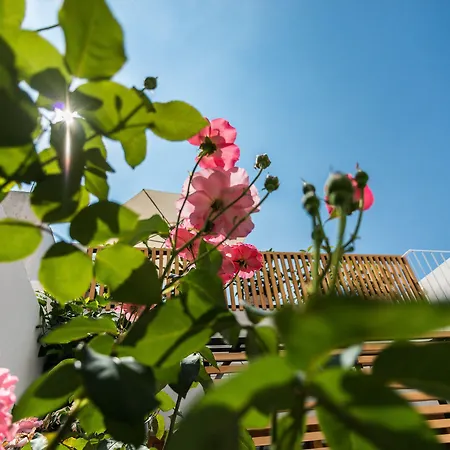 Hotel Sodium Boutique Ciutadella (Menorca)